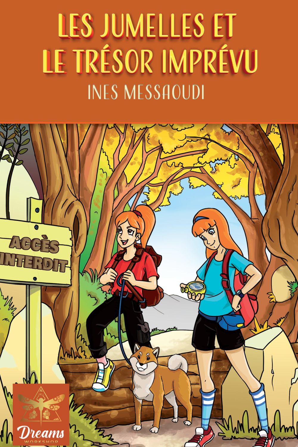 les-jumelles-et-le-tresor-impevu